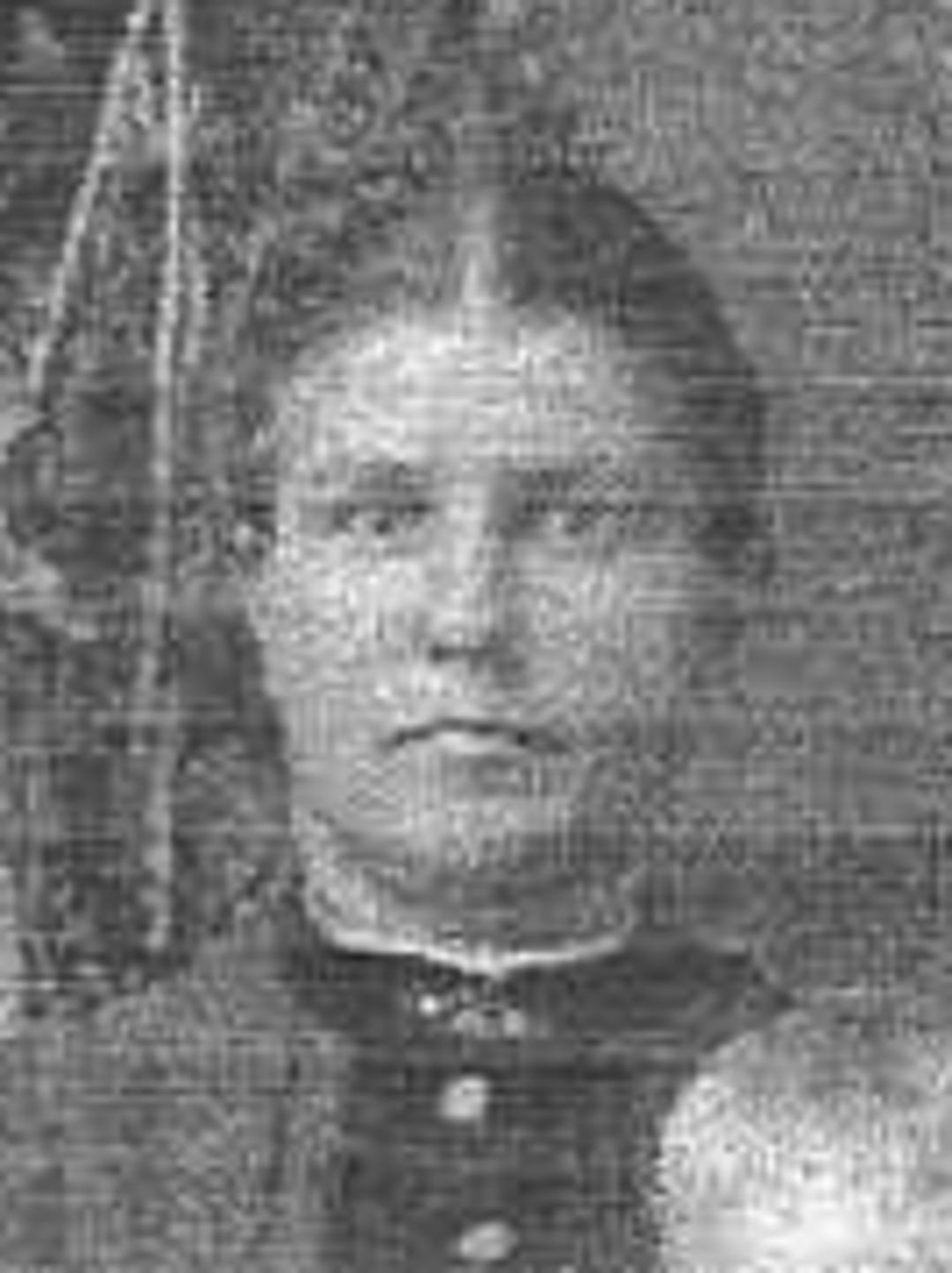 Mary Ann Jensen (1859 - 1926) Profile